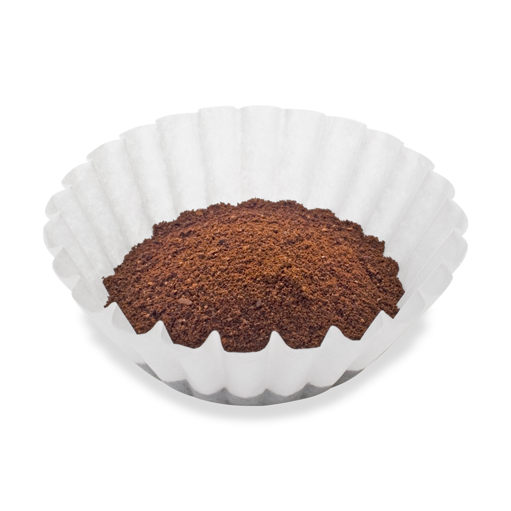 Coffee Filters